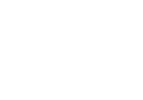 Saigon Hustle